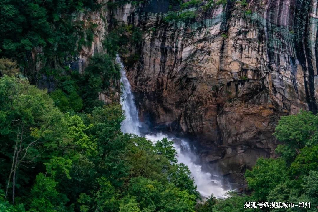 妙鸭相机app下载官网